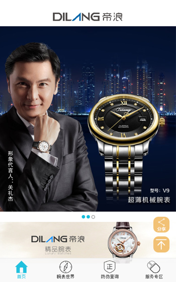 帝浪表業(yè)網站案例圖片0